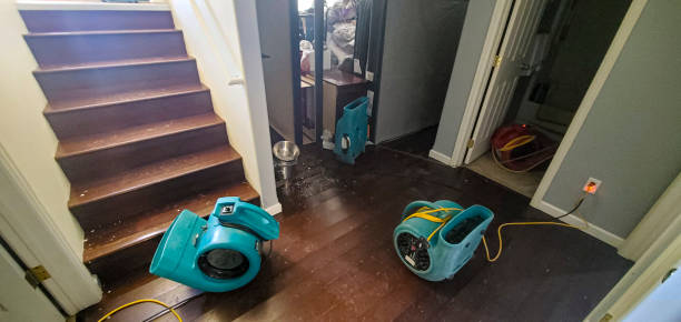  Baldwyn, MS Water damage restoration Pros