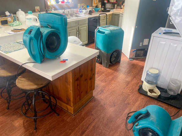 Best Water damage contractors near me  in Baldwyn, MS