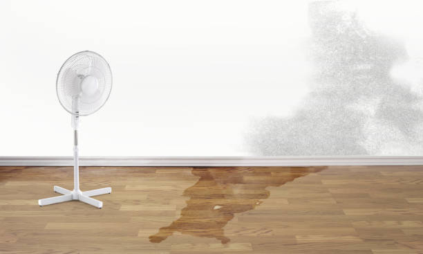 Best Sewage cleanup and water damage restoration  in Baldwyn, MS